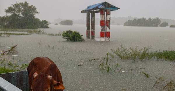 RM55m allocated for agricultural irrigation, drainage upgrades to mitigate flood impact, says minister